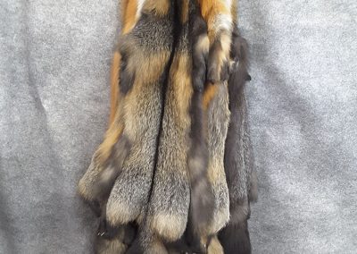 Fourrure de renard (Tanneur à Québec) - Taxidermie Asselin Québec