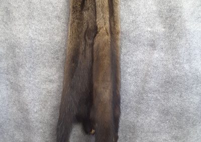 Peau animal long(Tanneur à Québec) - Taxidermie Asselin Québec